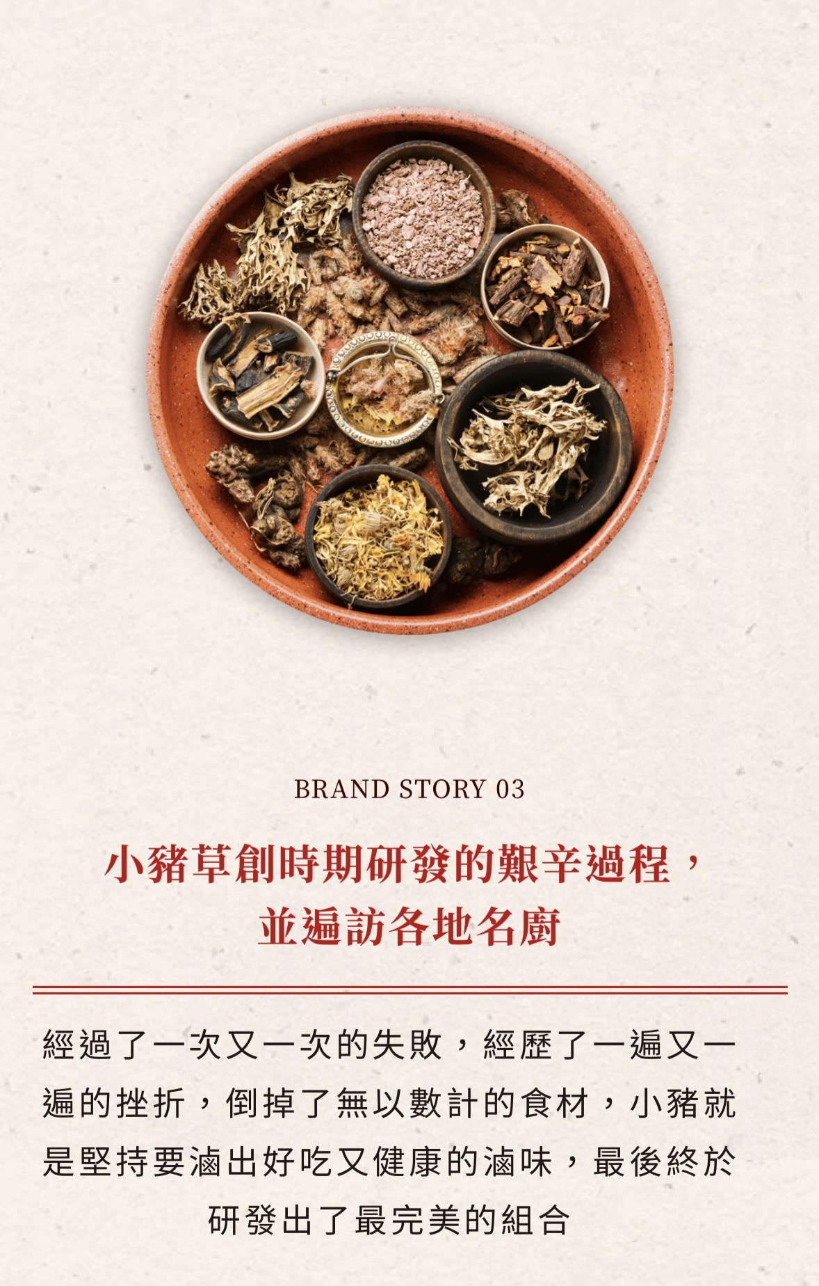 小豬很忙 蔬果滷味 加盟優勢