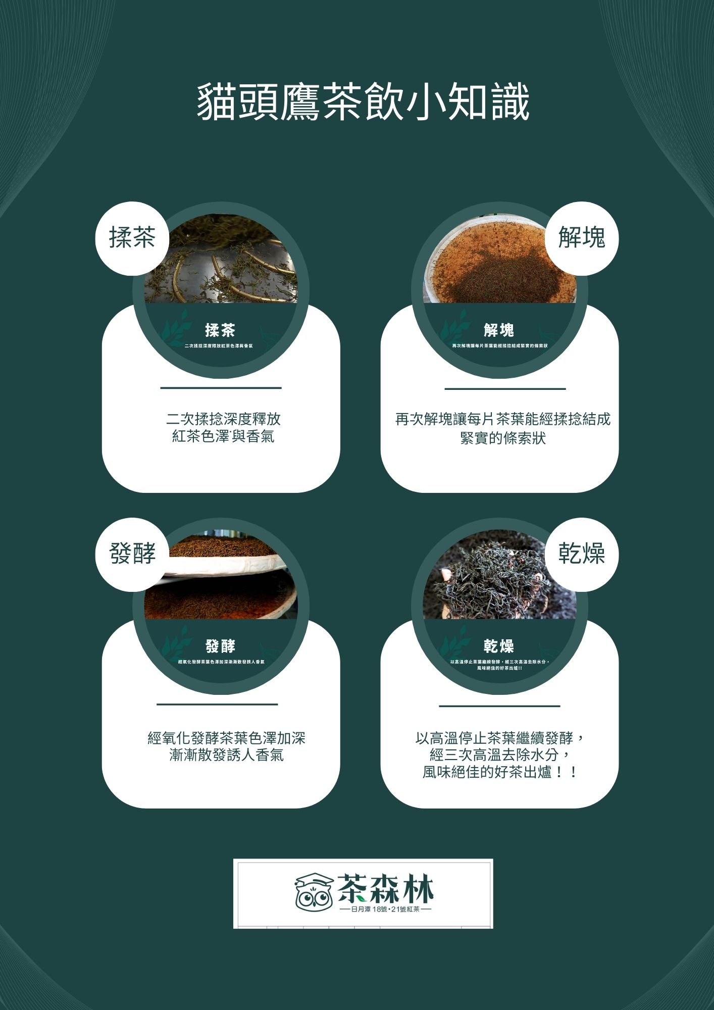 貓頭鷹茶森林 加盟優勢