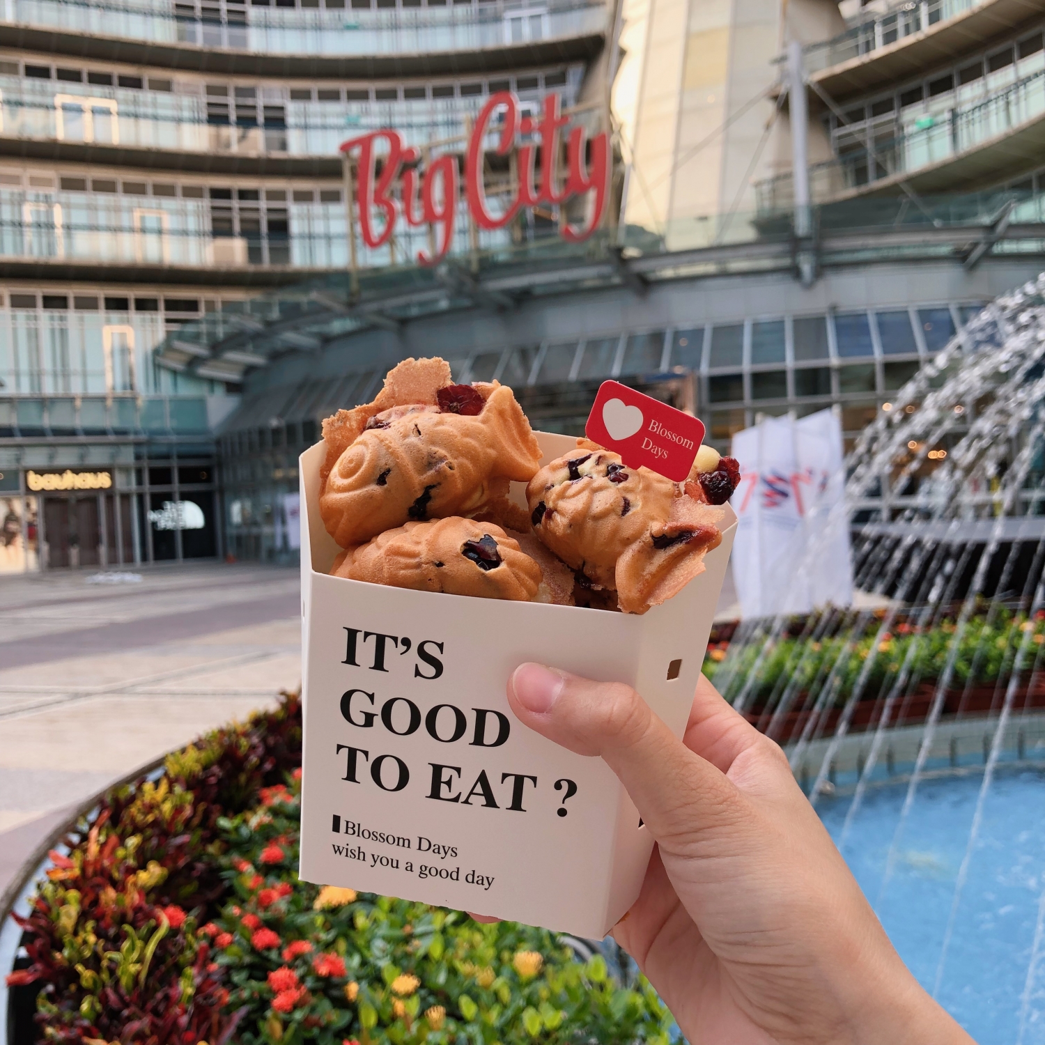 花果好日 雞蛋糕 加盟優勢
