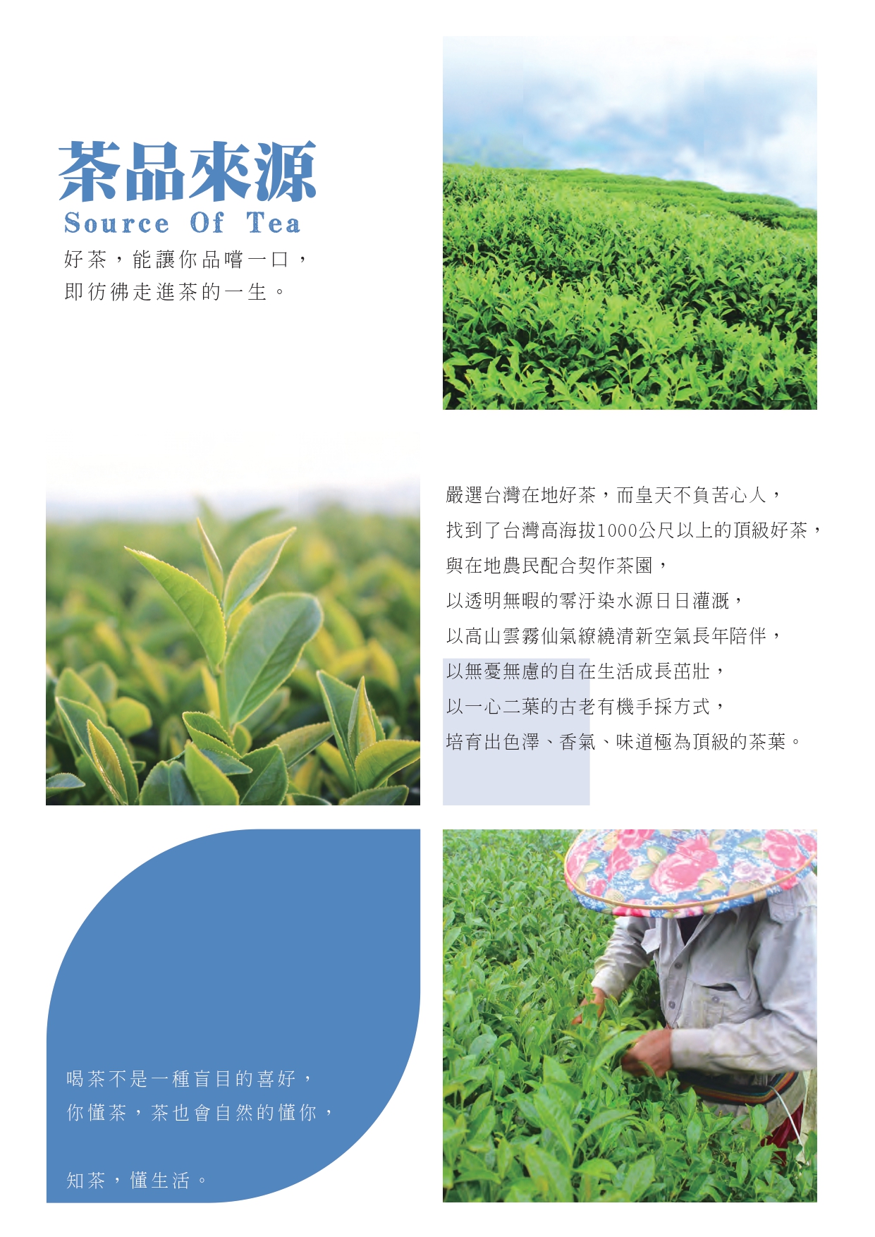 鮮嵐茶品牌總部 加盟優勢