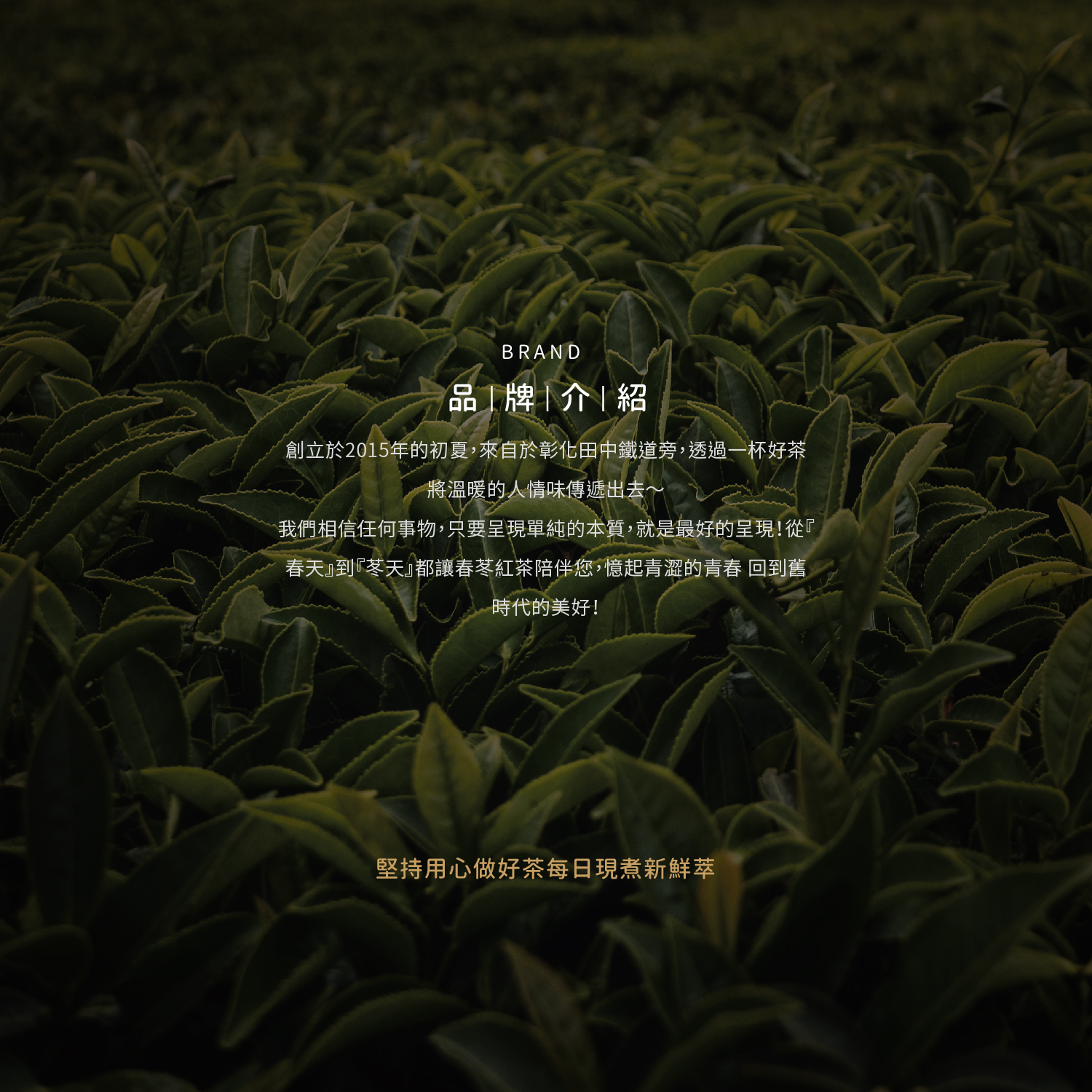 春苳紅茶 加盟優勢