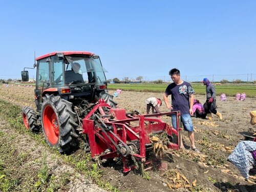 小8三色地瓜球 品牌形象