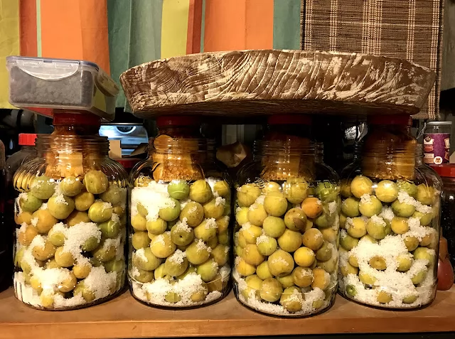 九丹煮奶厚奶茶 16萬辦到好 加盟優勢