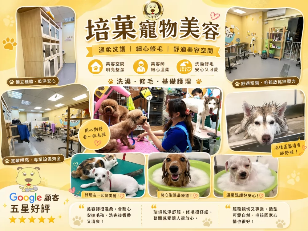 培菓寵物 加盟優勢