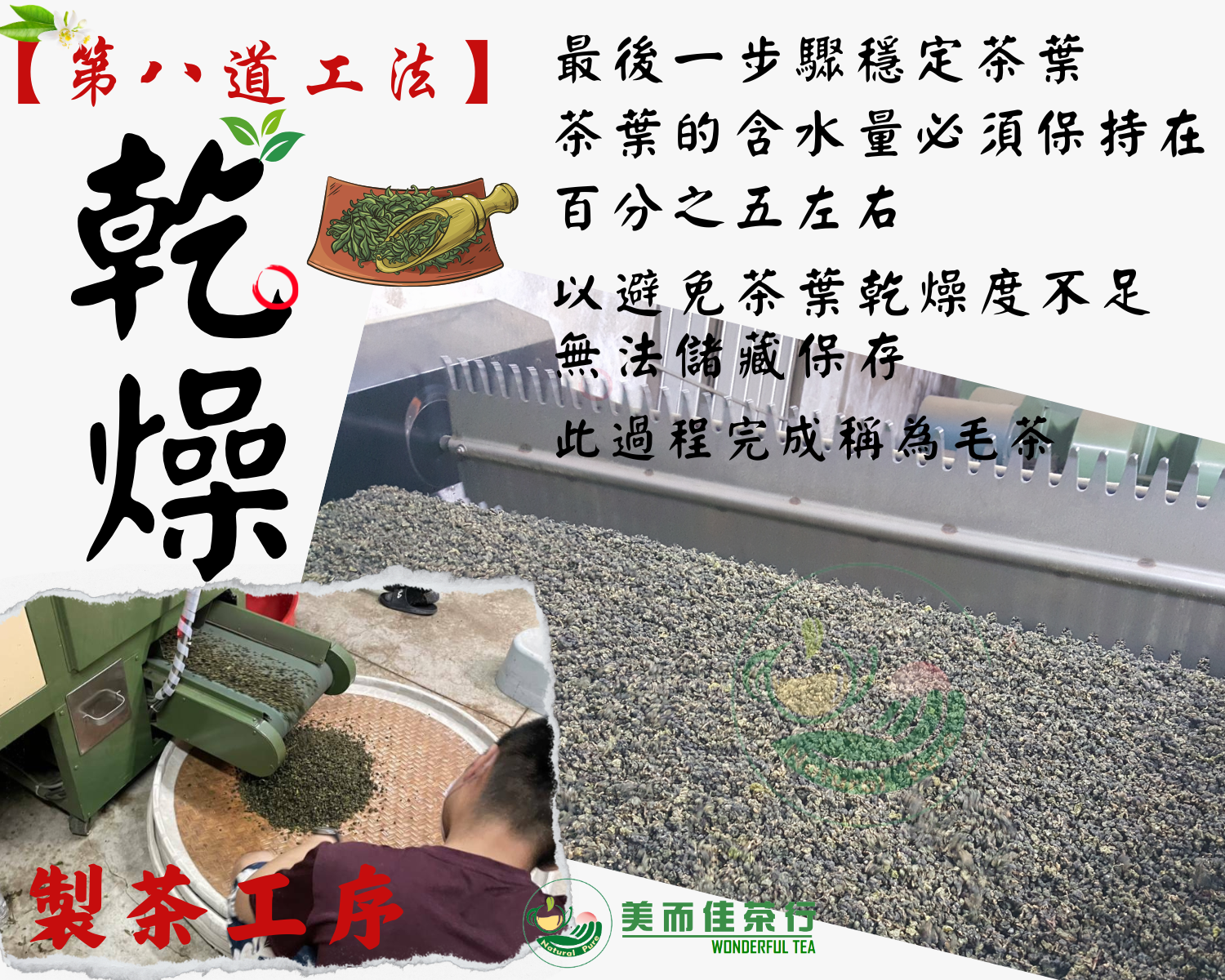 美而佳茶行  品牌圖片 #8