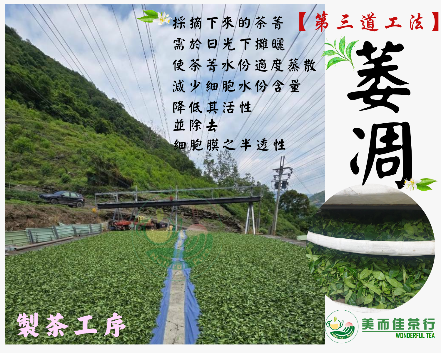 美而佳茶行  品牌圖片 #3