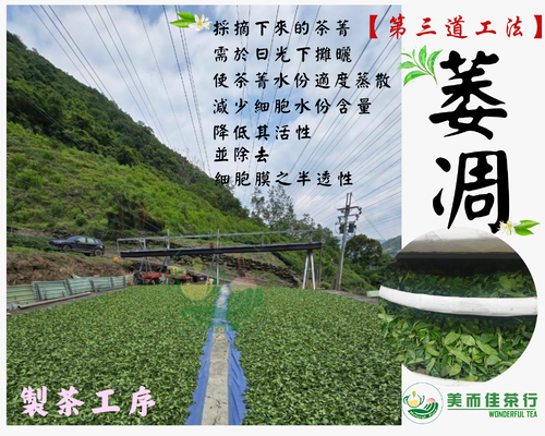 美而佳茶行 品牌形象