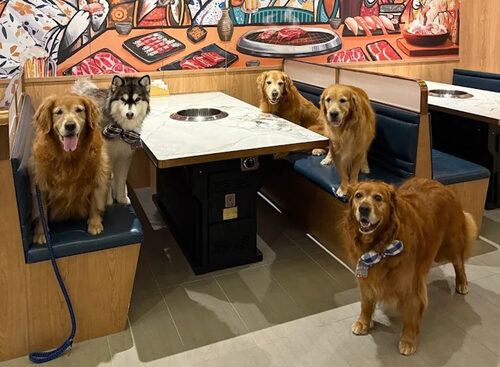 温和苑燒肉 品牌形象