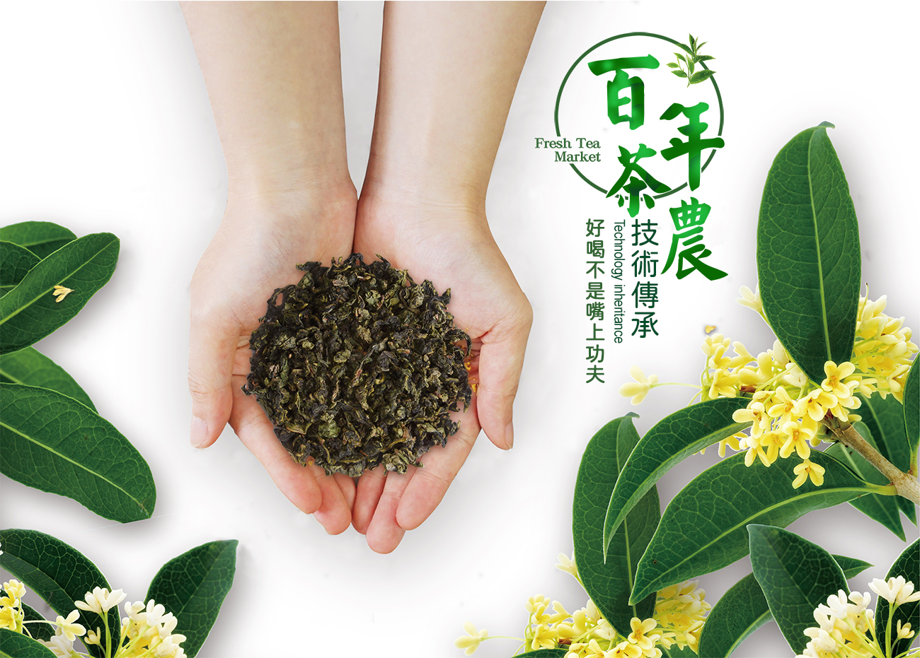 武林茶 加盟優勢