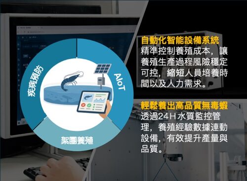 艾養蝦 品牌形象