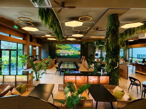 AKB阿嚕米卡到布